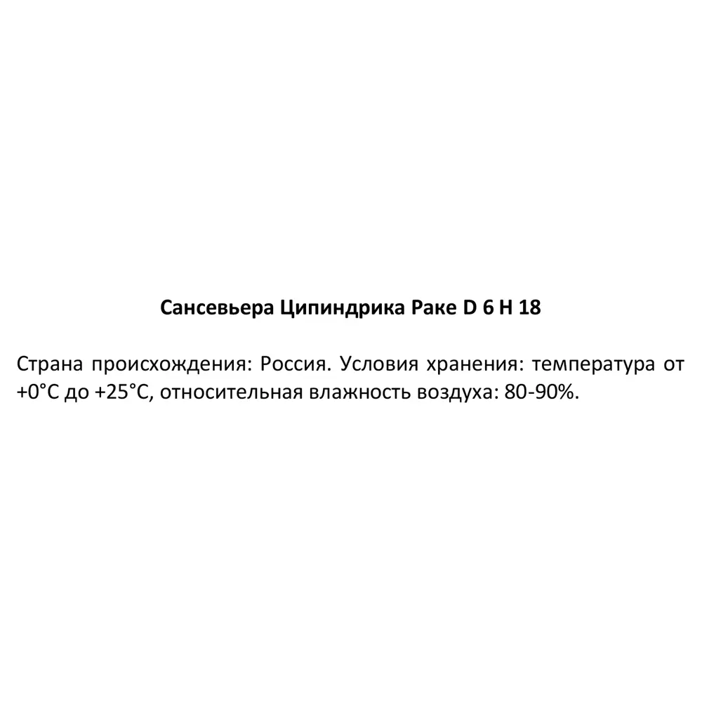 Фото 4 Сансевьера Цилиндрика Ракета ø6 h18 см Фото 4 Сансевьера Цилиндрика Ракета ø6 h18 см
