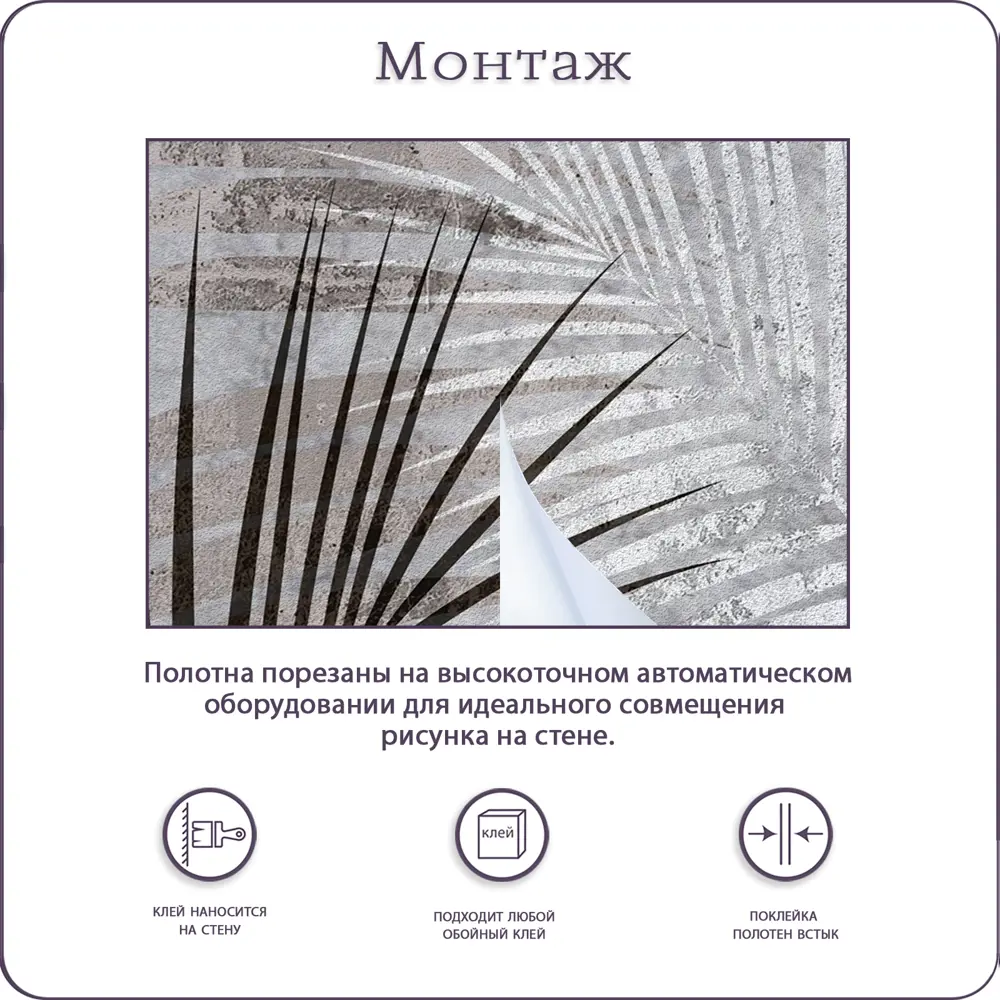 Фото 8 Фотообои флизелиновые Bartonwall 500x270 см Пальмовые листья M13105 Фото 8 Фотообои флизелиновые Bartonwall 500x270 см Пальмовые листья M13105