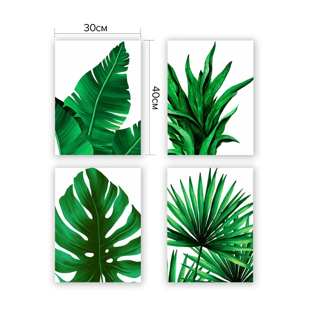 Фото 4 Набор интерьерных постеров Verol "Зеленые листья" 40x30 см 4 шт Фото 4 Набор интерьерных постеров Verol "Зеленые листья" 40x30 см 4 шт