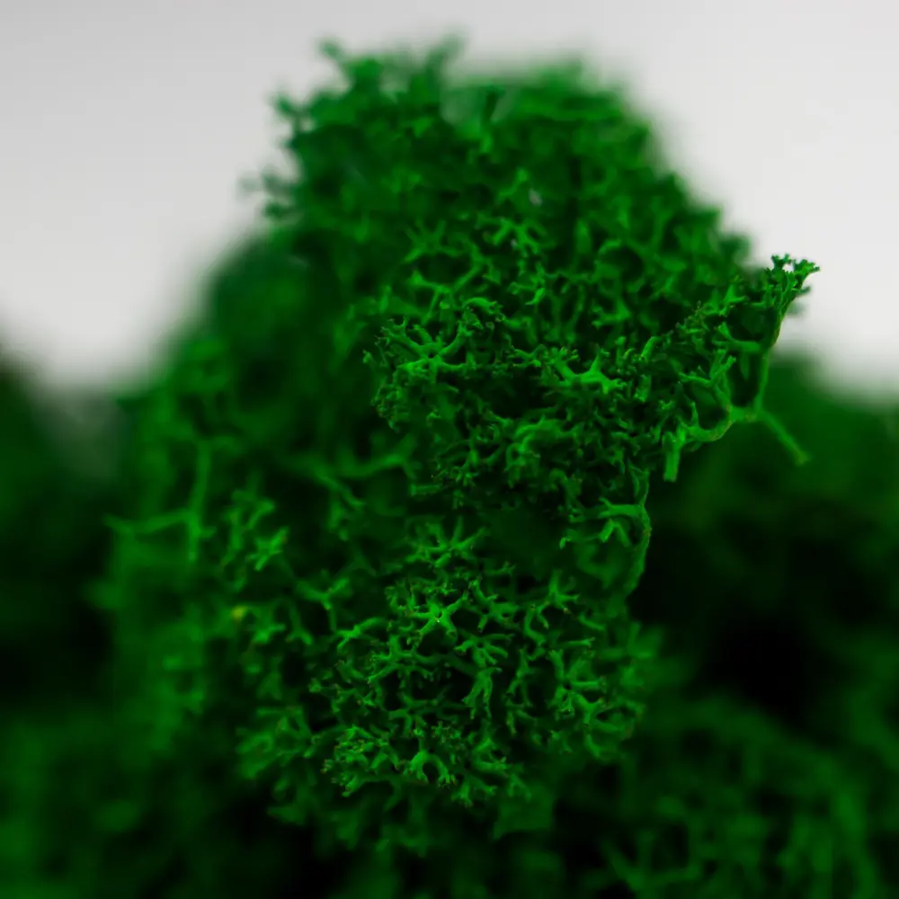 Фото 4 Кашпо Голова Simaland 8 см 1 л бетон серый/серебристый Фото 4 Кашпо Голова Simaland 8 см 1 л бетон серый/серебристый