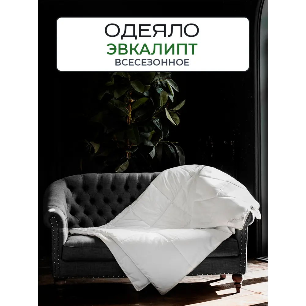 Фото Одеяло Sn textile из эвкалиптового волокна Темпере эвкалипт премиум 140x205 всесезонное Фото Одеяло Sn textile из эвкалиптового волокна Темпере эвкалипт премиум 140x205 всесезонное