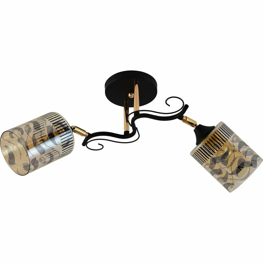 Фото 4 Люстра на штанге ReLuce 11313-0.3-02 bk+fgd 2 лампы 6 м² цвет черный Фото 4 Люстра на штанге ReLuce 11313-0.3-02 bk+fgd 2 лампы 6 м² цвет черный