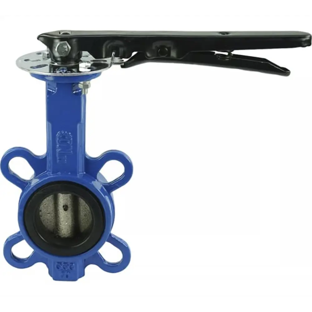 Фото Затвор дисковый поворотный Dn.ru Ду65 Ру16 2" 1/2 рычаг черный чугун D050-01878 Фото Затвор дисковый поворотный Dn.ru Ду65 Ру16 2" 1/2 рычаг черный чугун D050-01878