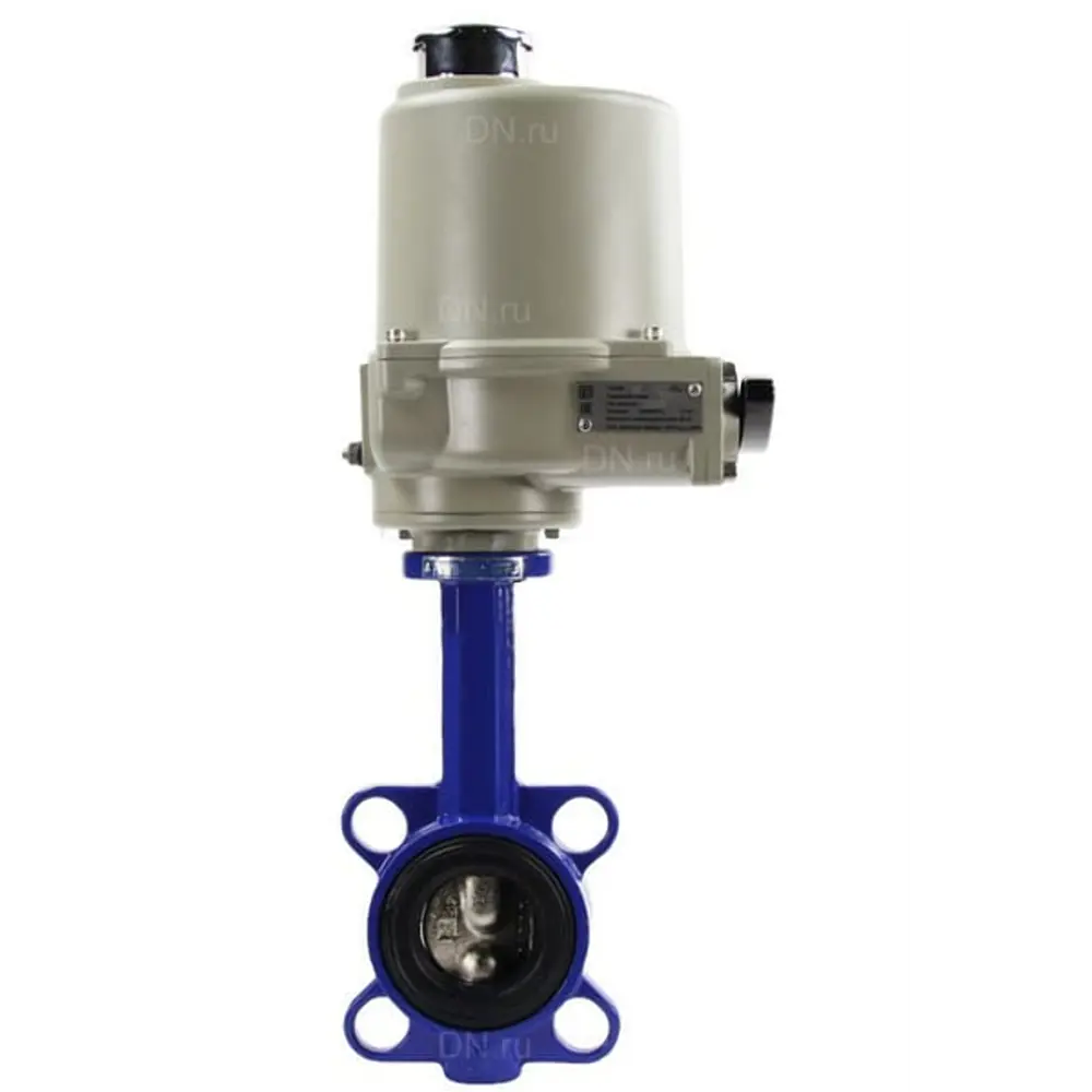 Фото Затвор дисковый поворотный DN.ru ГЗ Ду65 Ру16 2" 1/2 рычаг черный сталь D050-02061 Фото Затвор дисковый поворотный DN.ru ГЗ Ду65 Ру16 2" 1/2 рычаг черный сталь D050-02061