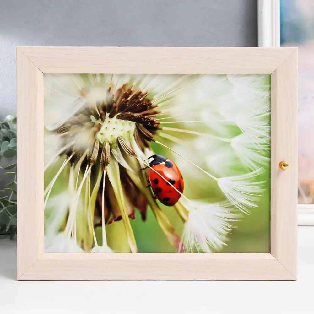 Фото Ключница Simaland Божья коровка 9380972, МДФ, 29x24 см, цвет разноцветный