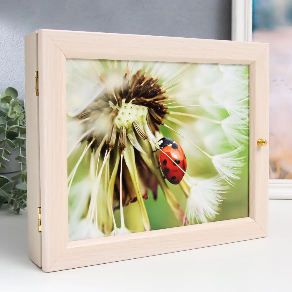 Фото 2 Ключница Simaland Божья коровка 9380972, МДФ, 29x24 см, цвет разноцветный