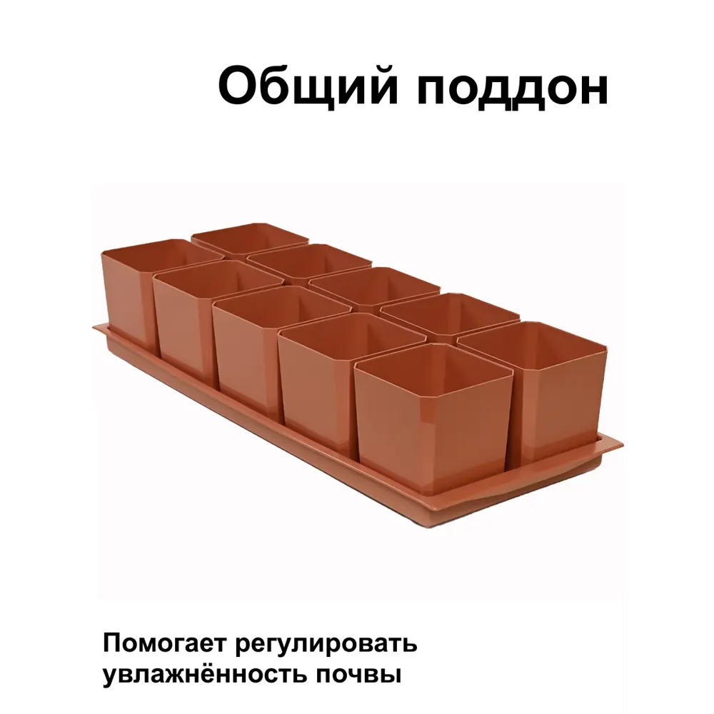 Фото 3 Горшки для рассады и цветов Пеликан 10 шт по 500 мл на общем поддоне терракотовый Фото 3 Горшки для рассады и цветов Пеликан 10 шт по 500 мл на общем поддоне терракотовый
