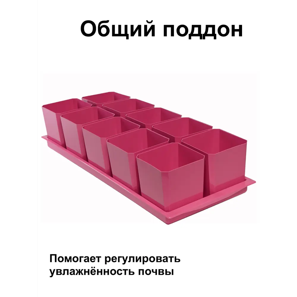 Фото 3 Горшки для рассады и цветов Пеликан 20 горшков 500 мл и 2 общих поддона французская роза Фото 3 Горшки для рассады и цветов Пеликан 20 горшков 500 мл и 2 общих поддона французская роза