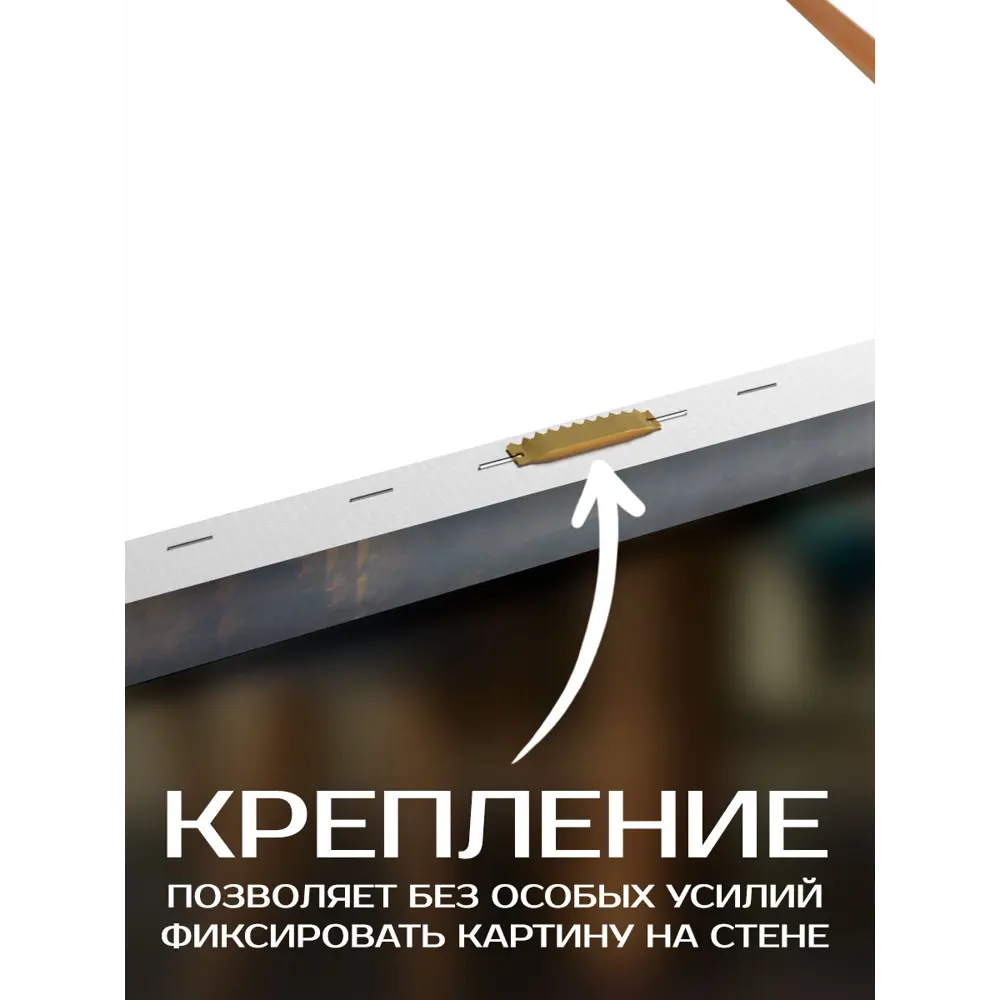 Фото 5 Картина на холсте Fbrush Черный дуэт 50x40 см