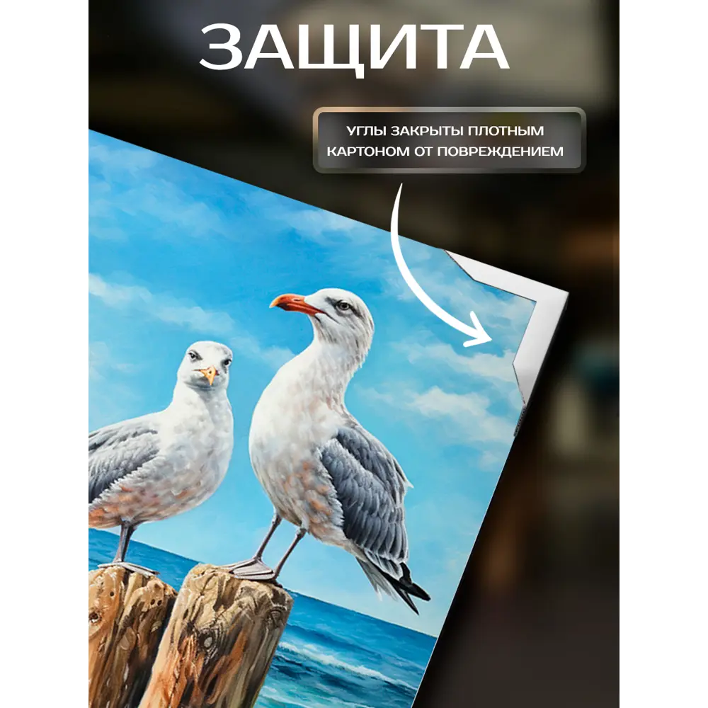 Фото 4 Картина на холсте Fbrush Морские птицы 40x50 см Фото 4 Картина на холсте Fbrush Морские птицы 40x50 см