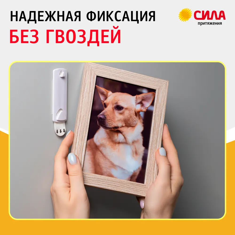Фото 6 Крючок для рамок картин Сила нагрузка до 1.2 кг Фото 6 Крючок для рамок картин Сила нагрузка до 1.2 кг