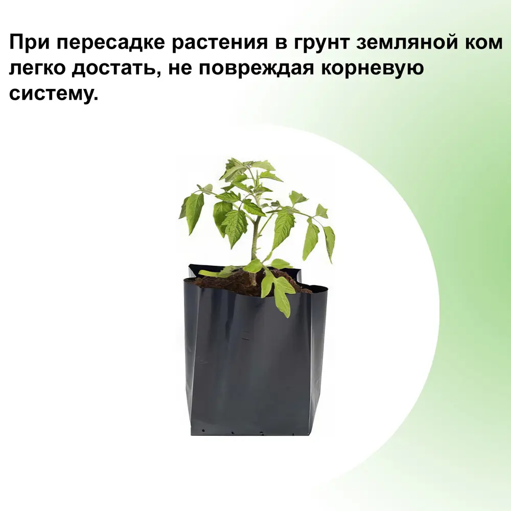 Фото 2 Пакет для рассады Лето 1.2 л плотность 100 мкм 8x23 см 50 шт полиэтилен Фото 2 Пакет для рассады Лето 1.2 л плотность 100 мкм 8x23 см 50 шт полиэтилен