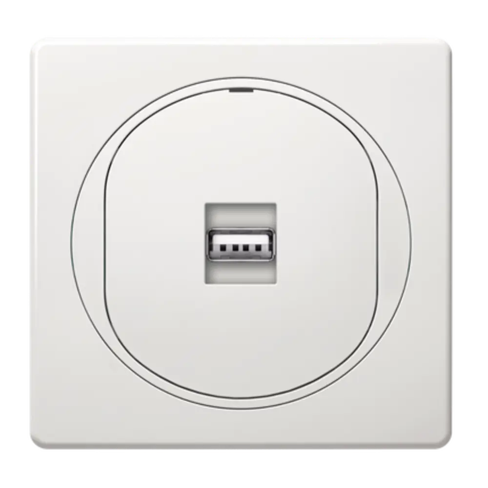Фото 2 Розетка USB встраиваемая Aling-conel Eon E6162.00 с Keystone модулем цвет белый Фото 2 Розетка USB встраиваемая Aling-conel Eon E6162.00 с Keystone модулем цвет белый