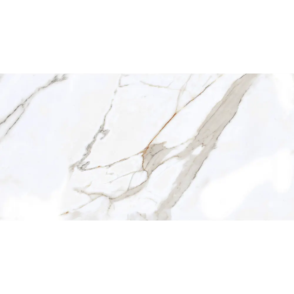 Фото 4 Керамогранит Primavera grit granula 78546 60x120см 1.44 м² цвет белый Фото 4 Керамогранит Primavera grit granula 78546 60x120см 1.44 м² цвет белый