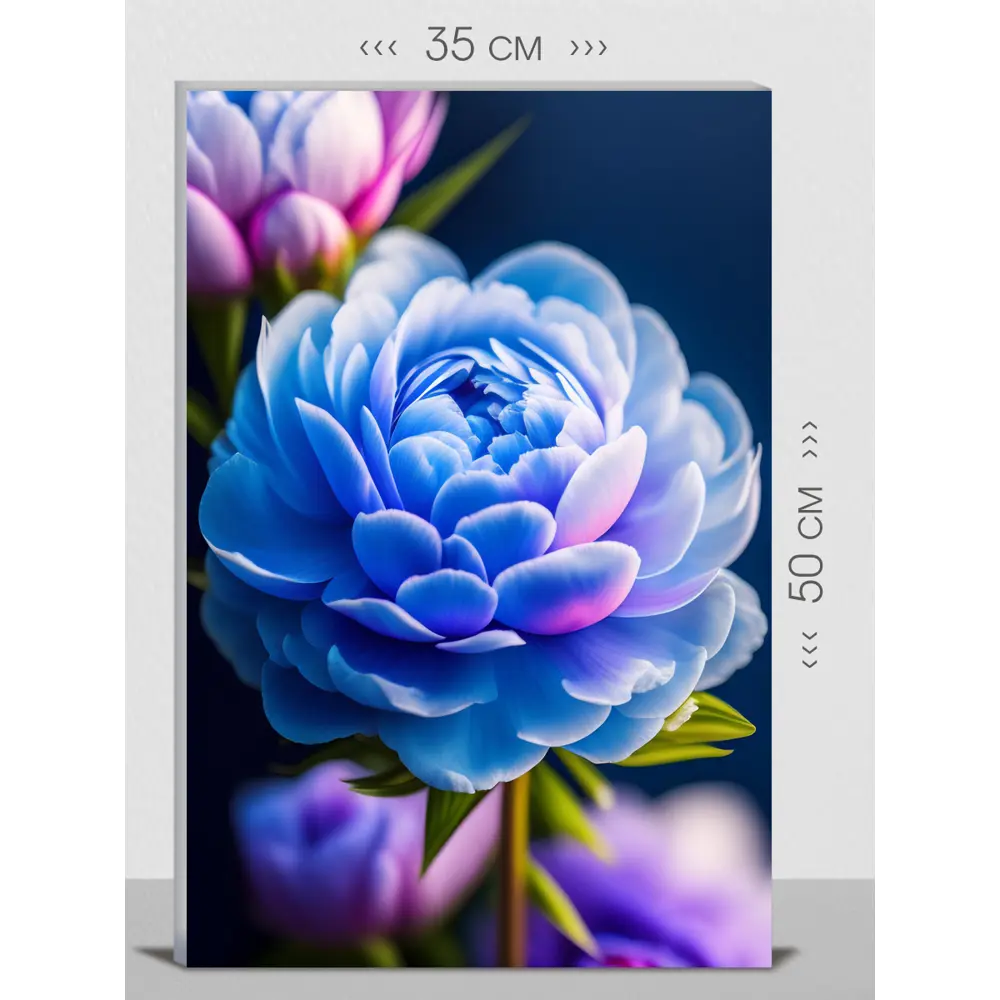 Фото Картина на холсте First class images 102036S, 50x35 см