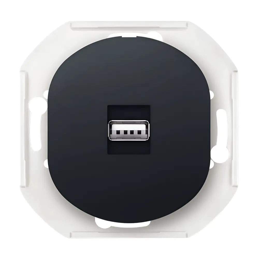 Фото Розетка USB встраиваемая Aling-conel Eon E6162.E1 цвет черный Фото Розетка USB встраиваемая Aling-conel Eon E6162.E1 цвет черный