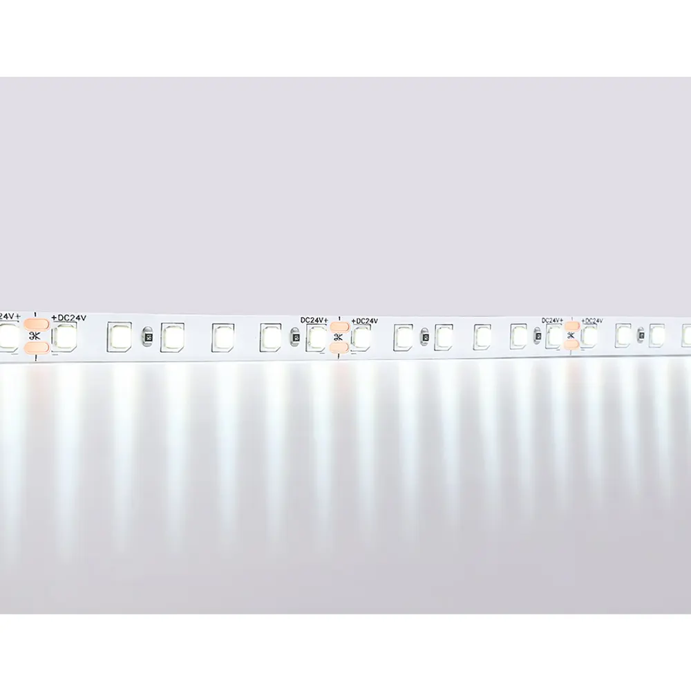 Фото 3 Светодиодная лента Ambrella light Gs3103 120 диод 2 Вт/м 24 В 13 мм IP20 5 м холодный белый (голубой) свет Фото 3 Светодиодная лента Ambrella light Gs3103 120 диод 2 Вт/м 24 В 13 мм IP20 5 м холодный белый (голубой) свет