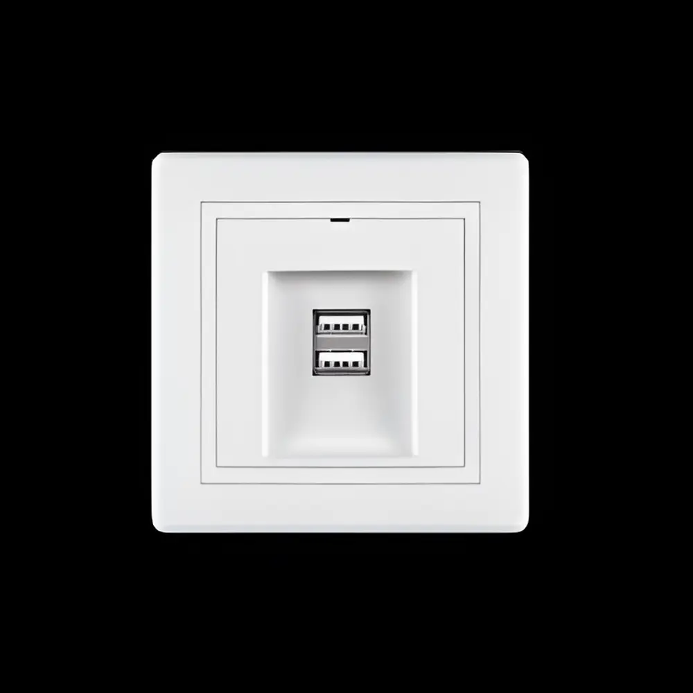 Фото 2 Розетка USB двойная встраиваемая Aling-conel Prestige 6161.00 цвет белый Фото 2 Розетка USB двойная встраиваемая Aling-conel Prestige 6161.00 цвет белый