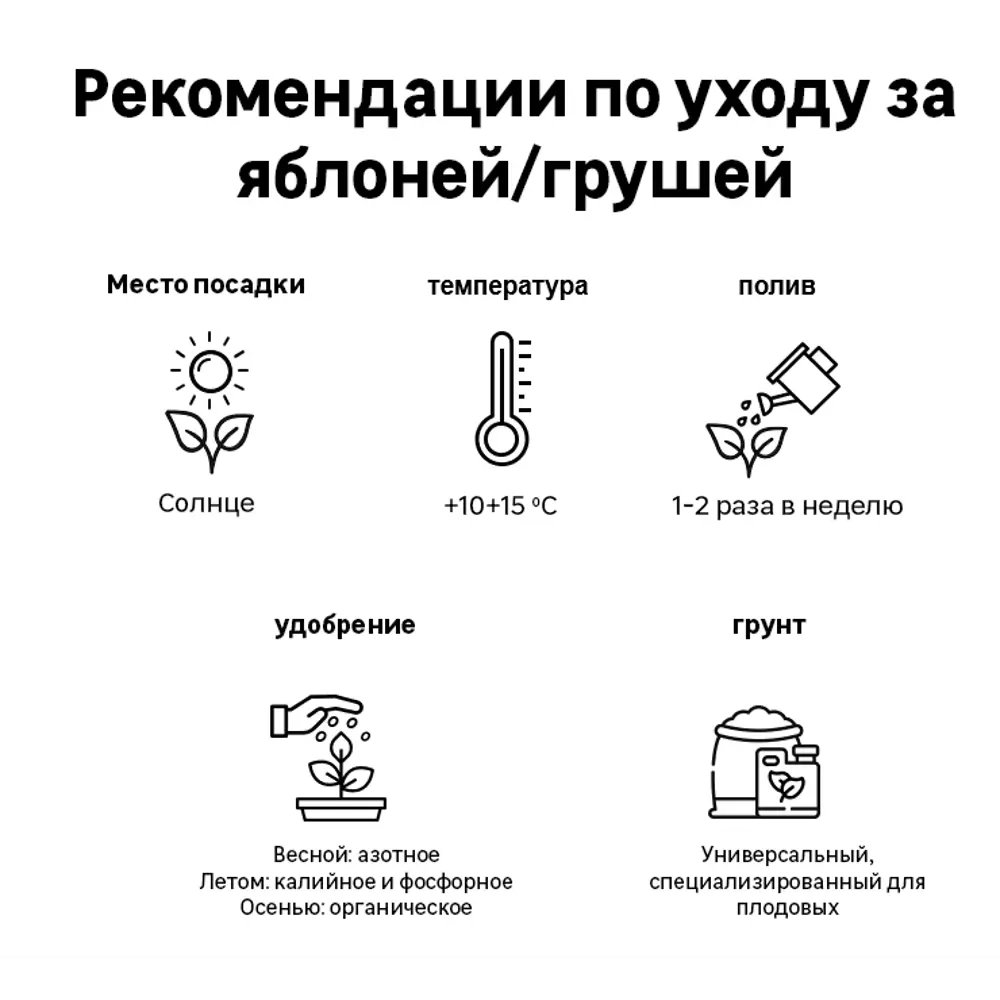 Фото 2 Груша Февральский сувенир сетка h150 см Фото 2 Груша Февральский сувенир сетка h150 см
