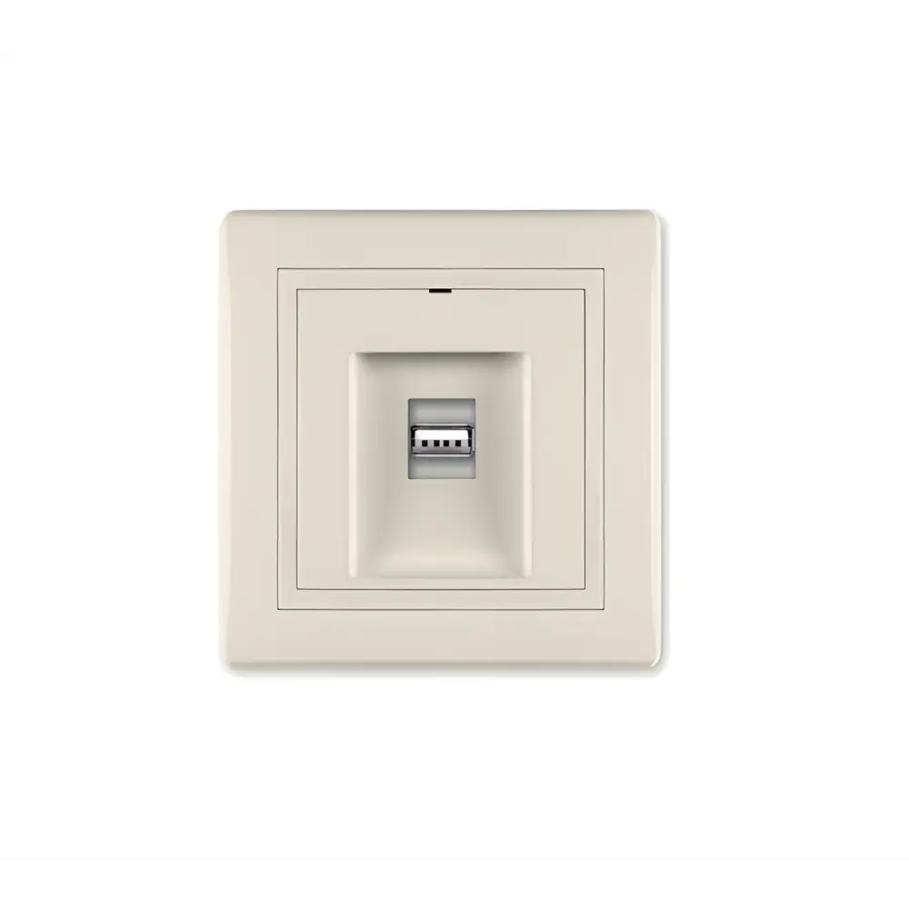 Фото Разъем USB встраиваемая Aling-conel Prestige 6162.99 с Keystone модулем цвет кремовый Фото Разъем USB встраиваемая Aling-conel Prestige 6162.99 с Keystone модулем цвет кремовый