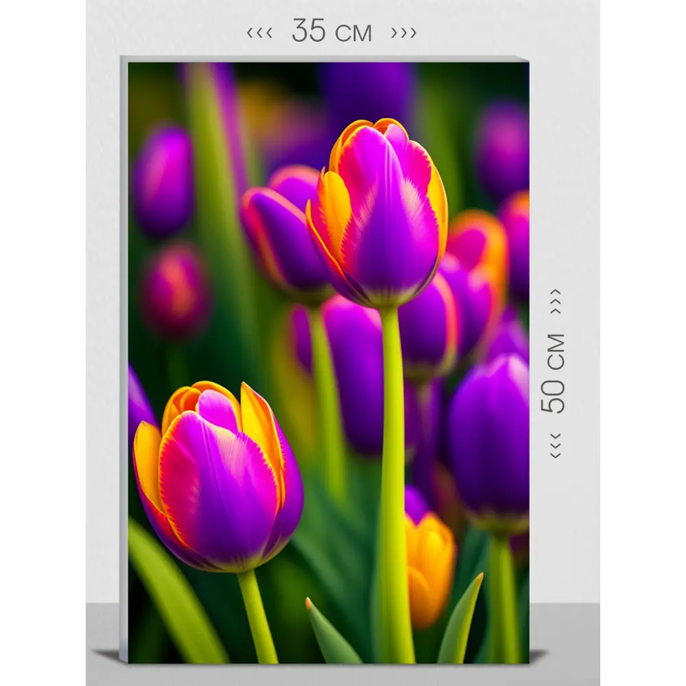 Фото Картина на холсте First Class Images 102280S 50x35 см