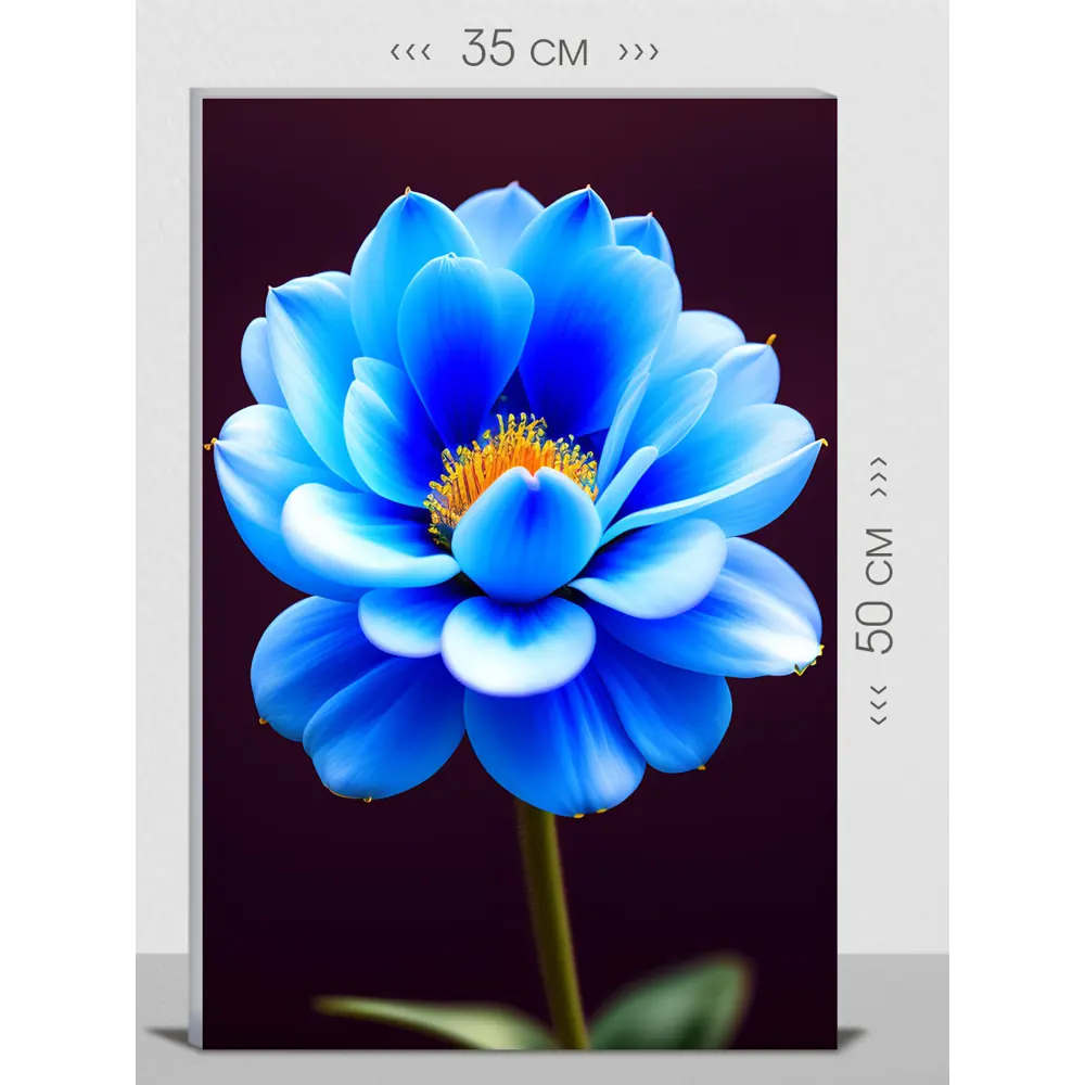 Фото Картина на холсте First Class Images 102041S 50x35 см