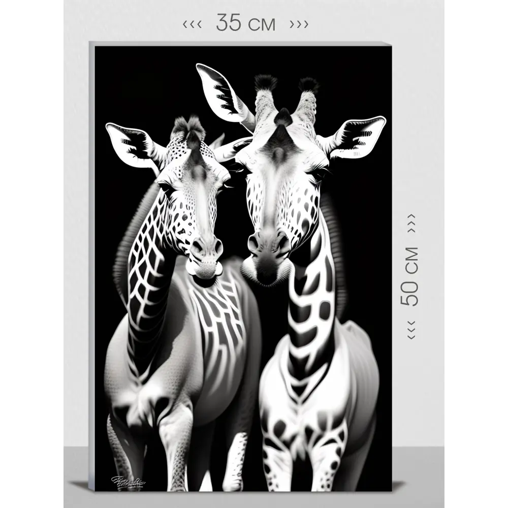 Фото Картина на холсте First Class Images 102261S 50x35 см