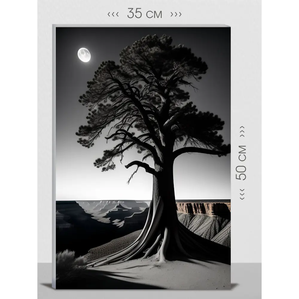 Фото Картина на холсте First Class Images 102323S 50x35 см