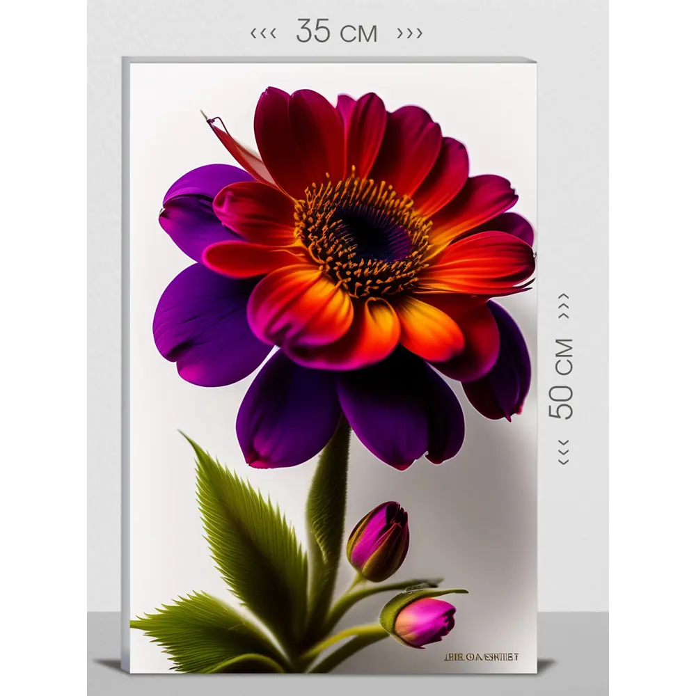 Фото Картина на холсте First Class Images 102497S 50x35 см