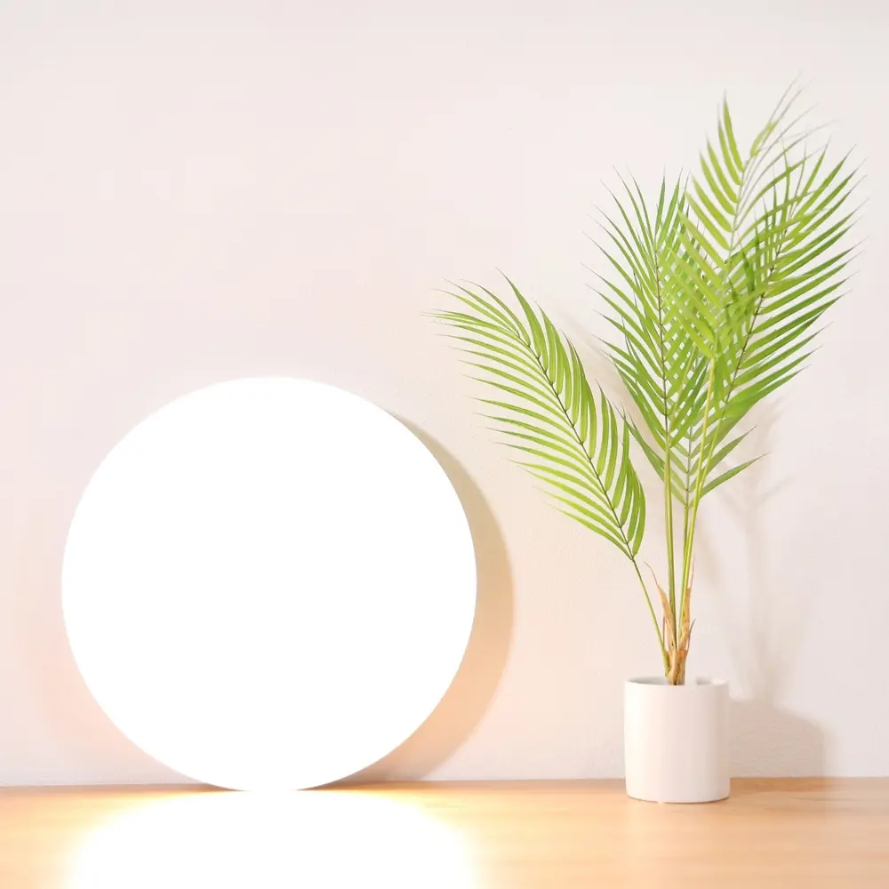 Фото 8 Светильник настенно-потолочный светодиодный Mi Smart Ceiling Light MJXDD01SYL 25 м² регулируемый белый свет цвет белый Фото 8 Светильник настенно-потолочный светодиодный Mi Smart Ceiling Light MJXDD01SYL 25 м² регулируемый белый свет цвет белый