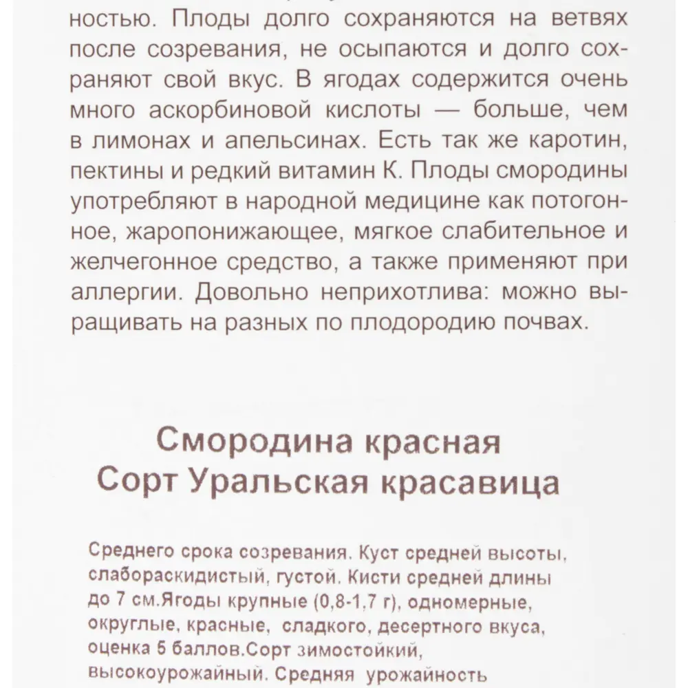 Фото 4 Смородина красная «Уральская Красавица» Фото 4 Смородина красная «Уральская Красавица»