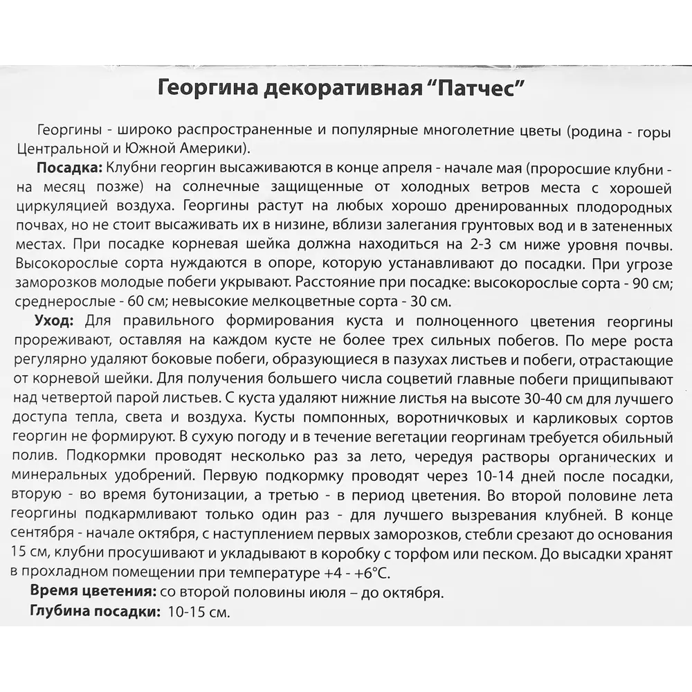 Фото 3 Георгина декоративная Патчес 100 мм Фото 3 Георгина декоративная Патчес 100 мм