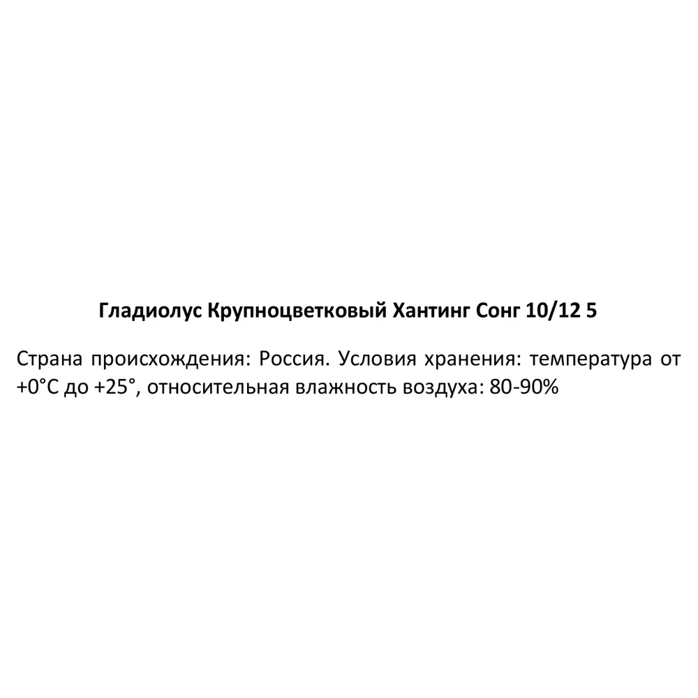 Фото 3 Гладиолус крупноцветковый Хантинг Сонг 100 мм Фото 3 Гладиолус крупноцветковый Хантинг Сонг 100 мм
