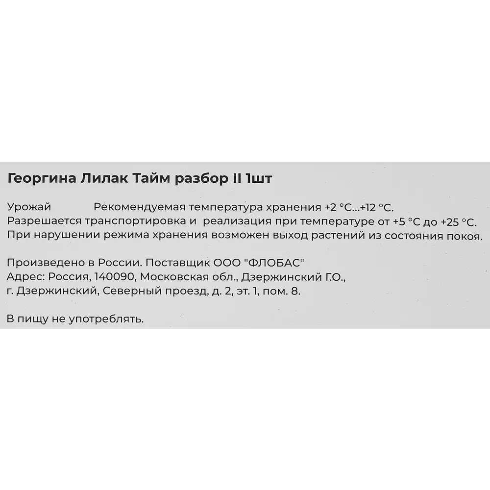 Фото 3 Георгина Лилак Тайм разбор II Фото 3 Георгина Лилак Тайм разбор II