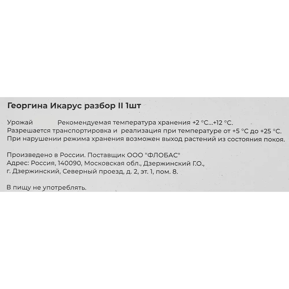 Фото 3 Георгина Икарус разбор II Фото 3 Георгина Икарус разбор II