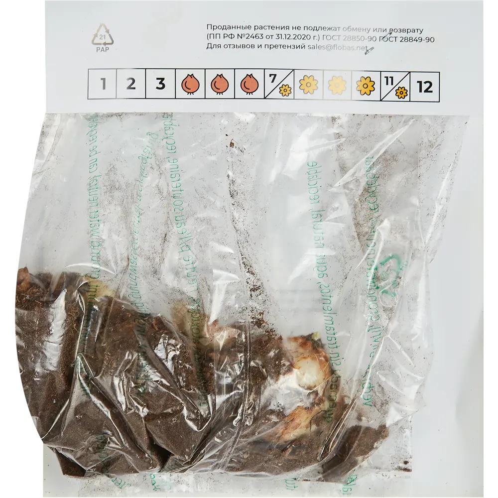 Фото 2 Лилия Гранд Крю луковицы 12/14, 3 шт. Фото 2 Лилия Гранд Крю луковицы 12/14, 3 шт.