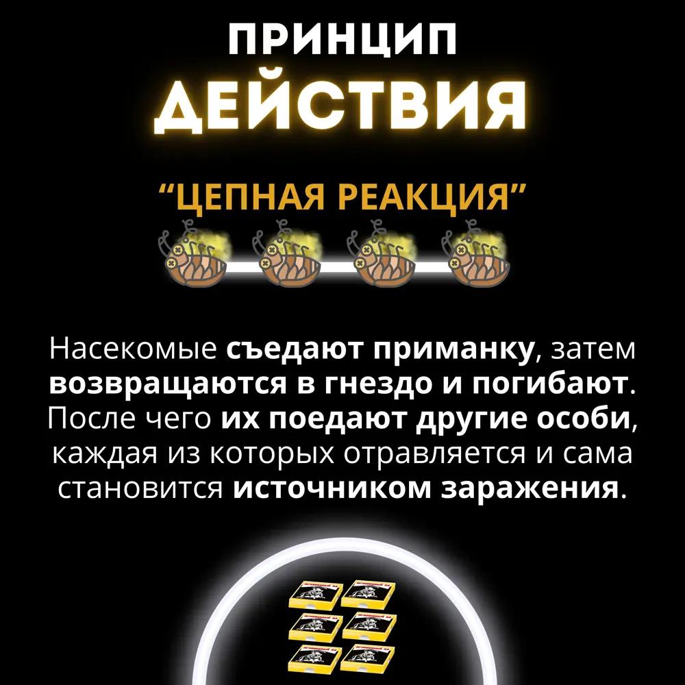 Фото 6 Ловушки от тараканов Дохлокс Мгновенный яд 3 уп по 6 шт 18шт Фото 6 Ловушки от тараканов Дохлокс Мгновенный яд 3 уп по 6 шт 18шт