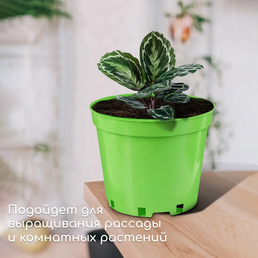 Фото 4 Горшок для рассады Greengo 5 л d 22 см h 18 см зелёный Фото 4 Горшок для рассады Greengo 5 л d 22 см h 18 см зелёный
