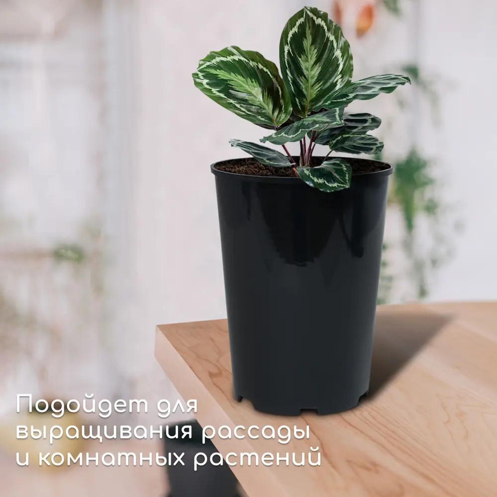Фото 4 Горшок для рассады Greengo для роз 7 л d 22 см h 26 см чёрный Фото 4 Горшок для рассады Greengo для роз 7 л d 22 см h 26 см чёрный
