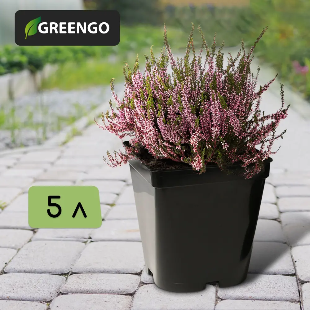 Фото 2 Горшок для рассады Greengo 5 л d 18.5 см h 20 см чёрный Фото 2 Горшок для рассады Greengo 5 л d 18.5 см h 20 см чёрный