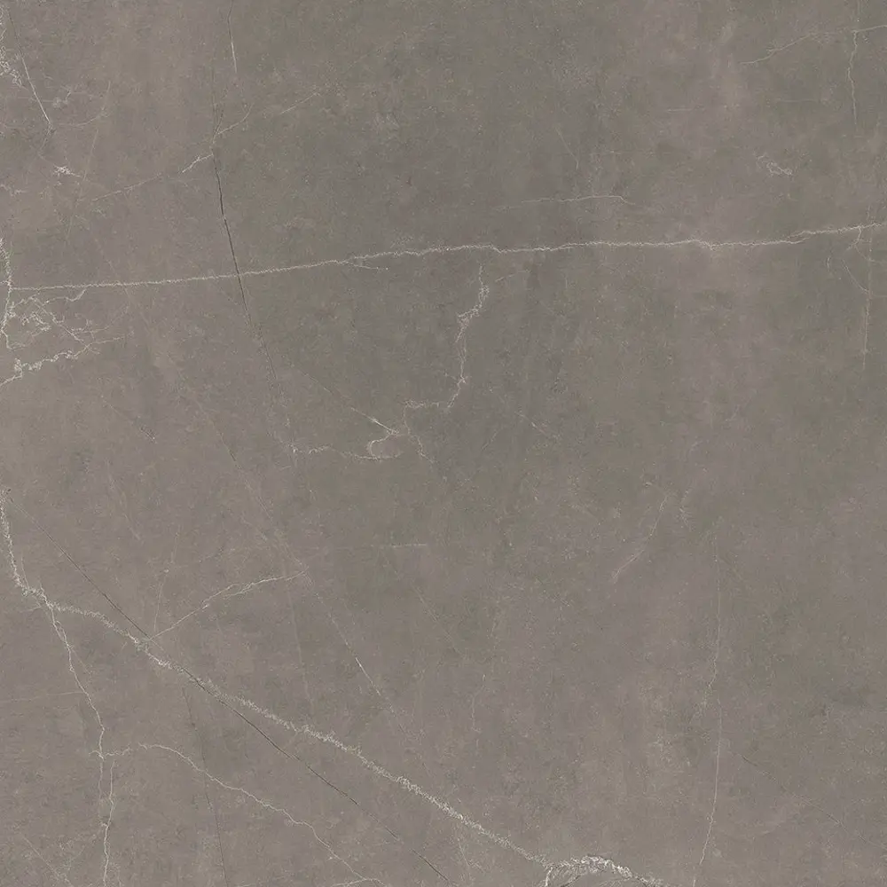Фото 9 Керамогранит Laparet Splash Grey x9999293153 60x60см 1.44 м² цвет серый, цена за упаковку Фото 9 Керамогранит Laparet Splash Grey x9999293153 60x60см 1.44 м² цвет серый, цена за упаковку