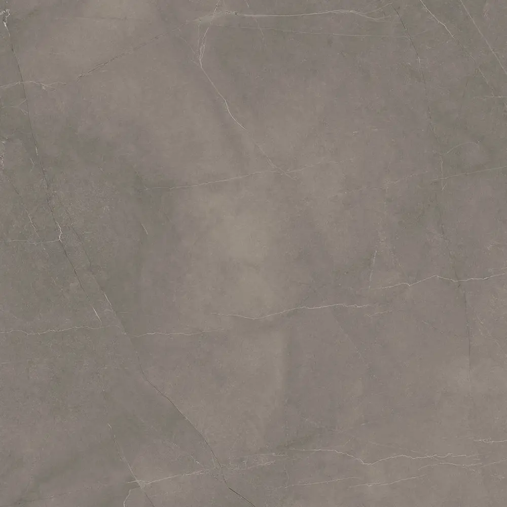 Фото 8 Керамогранит Laparet Splash Grey x9999293153 60x60см 1.44 м² цвет серый, цена за упаковку Фото 8 Керамогранит Laparet Splash Grey x9999293153 60x60см 1.44 м² цвет серый, цена за упаковку
