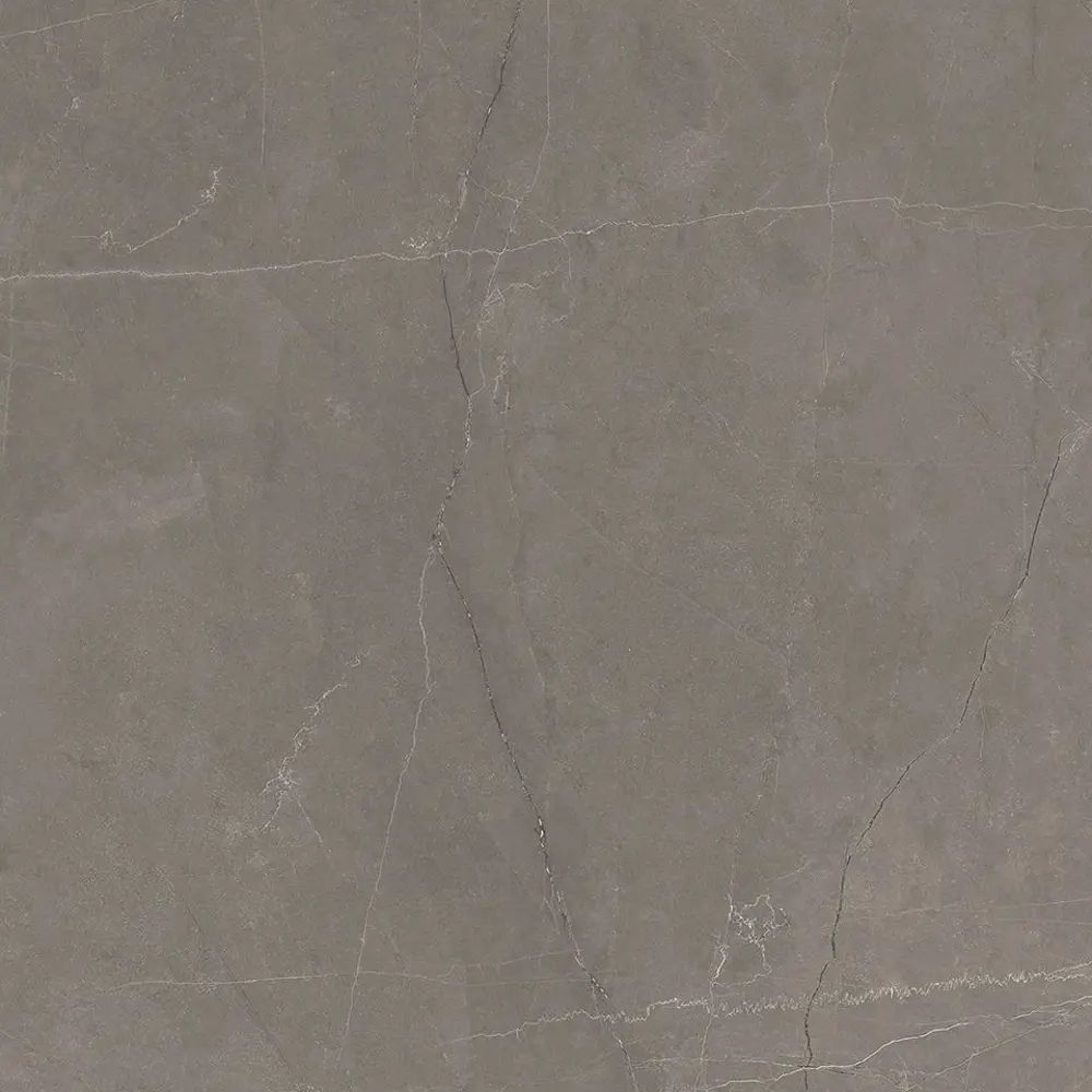 Фото 4 Керамогранит Laparet Splash Grey x9999293153 60x60см 1.44 м² цвет серый, цена за упаковку Фото 4 Керамогранит Laparet Splash Grey x9999293153 60x60см 1.44 м² цвет серый, цена за упаковку