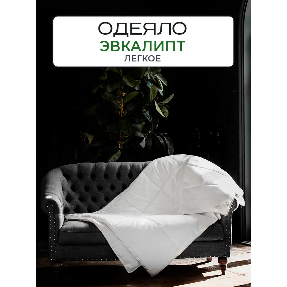 Фото Одеяло Sn textile из эвкалиптового волокна Темпере эвкалипт премиум 172x205 легкое Фото Одеяло Sn textile из эвкалиптового волокна Темпере эвкалипт премиум 172x205 легкое