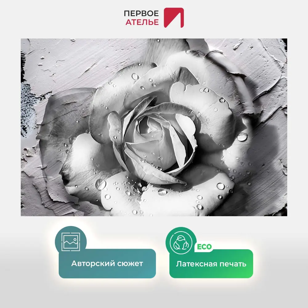 Фото 2 Фотообои флизелиновые Первое ателье 150x100 см Черно-белая роза pw97369-1 Фото 2 Фотообои флизелиновые Первое ателье 150x100 см Черно-белая роза pw97369-1