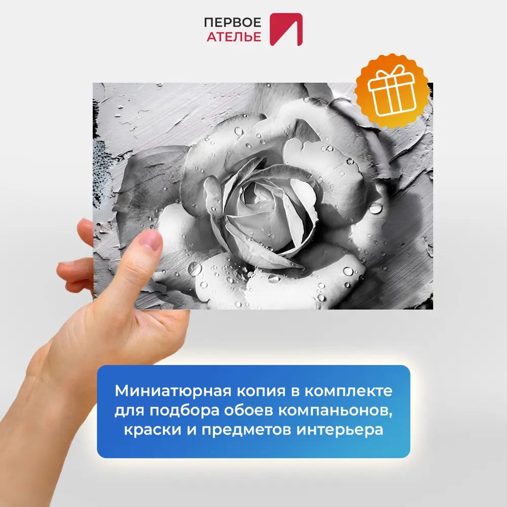 Фото 5 Фотообои флизелиновые Первое ателье 150x100 см Черно-белая роза pw97369-1 Фото 5 Фотообои флизелиновые Первое ателье 150x100 см Черно-белая роза pw97369-1