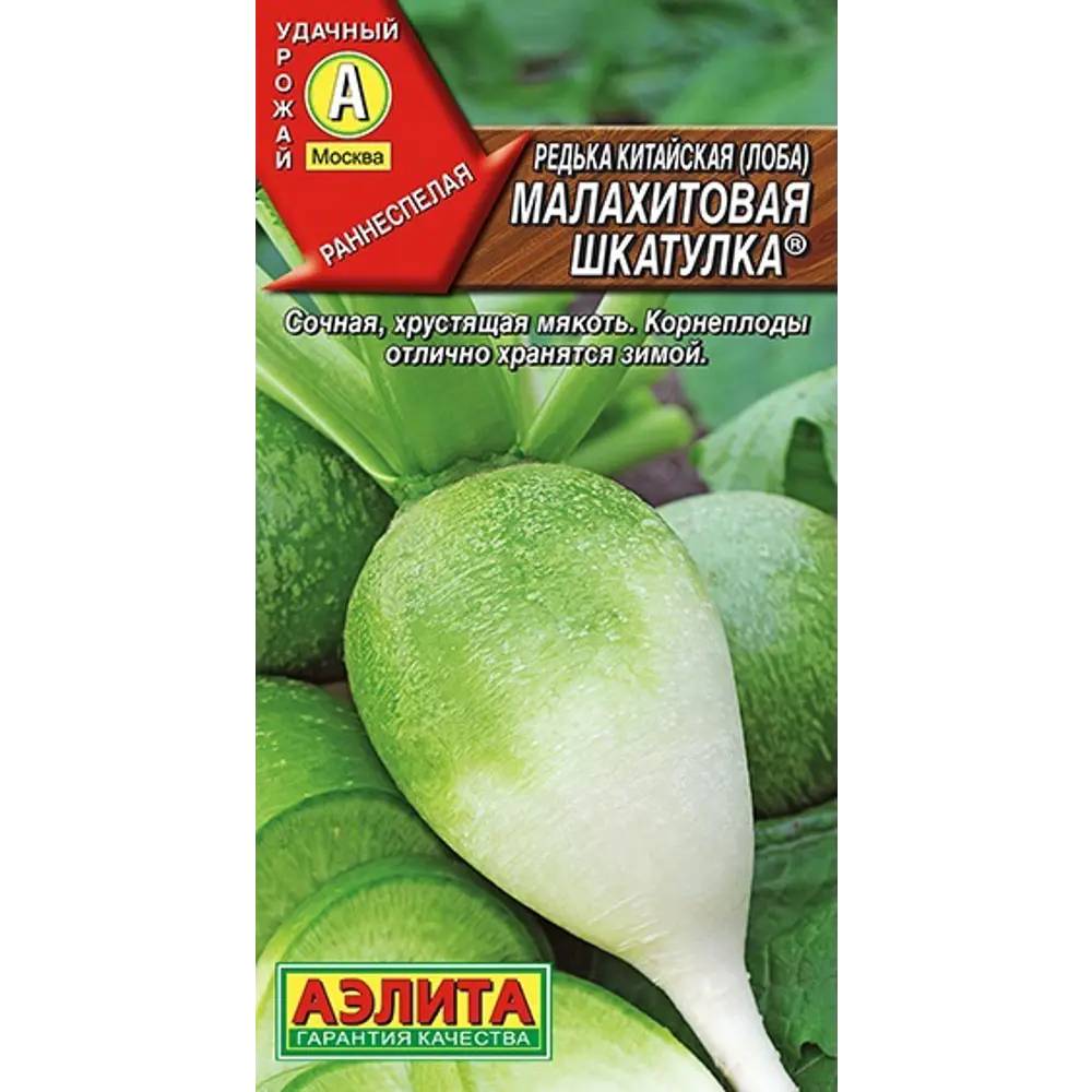 Фото 3 Редька китайская Малахитовая шкатулка 1 г Фото 3 Редька китайская Малахитовая шкатулка 1 г
