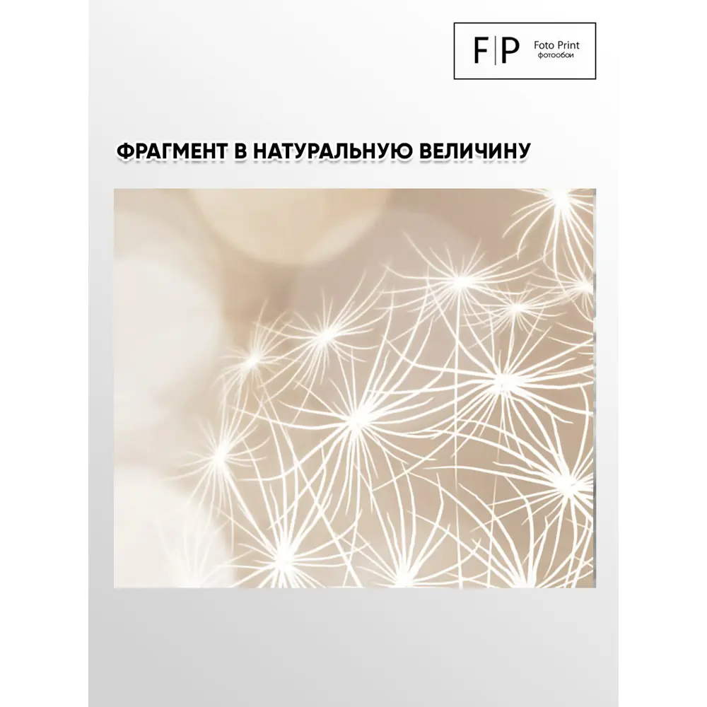 Фото 4 Фотообои флизелиновые Foto print Одуванчики в огнях 300x253 см 04-350-А-3-2.53 Фото 4 Фотообои флизелиновые Foto print Одуванчики в огнях 300x253 см 04-350-А-3-2.53