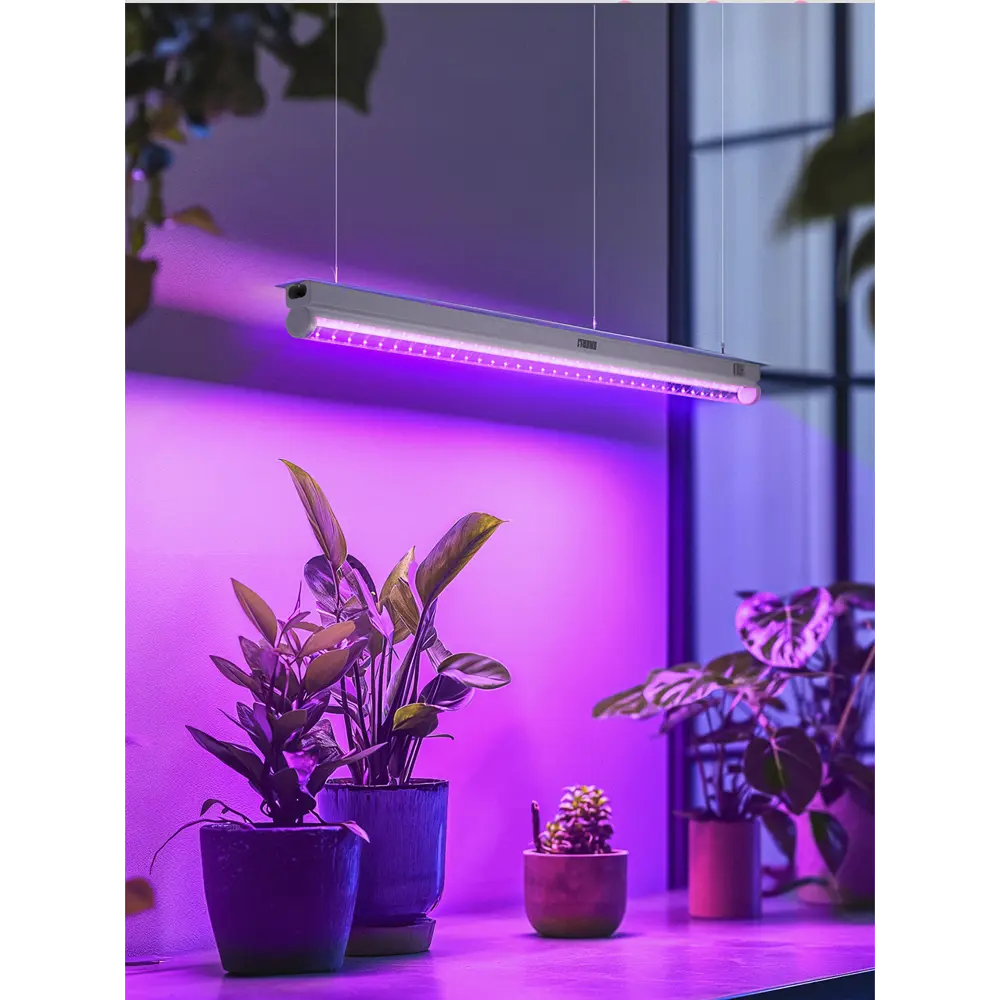 Фото 16 Фитосветильник линейный Enerli для рассады 9 Вт 572 мм полный спектр 2 шт Фото 16 Фитосветильник линейный Enerli для рассады 9 Вт 572 мм полный спектр 2 шт