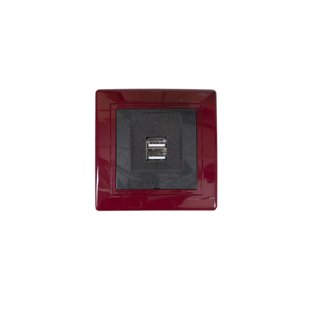 Фото Разъем USB встраиваемая Aling-conel Prestige 6161.332 цвет бордовый/графитовый Фото Разъем USB встраиваемая Aling-conel Prestige 6161.332 цвет бордовый/графитовый